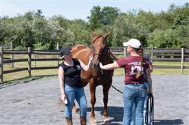 LR-WRF 08022025-Retreat-3087